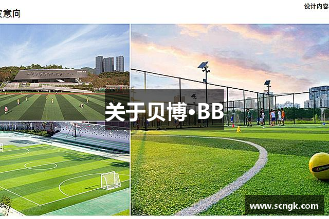 关于贝博·BB